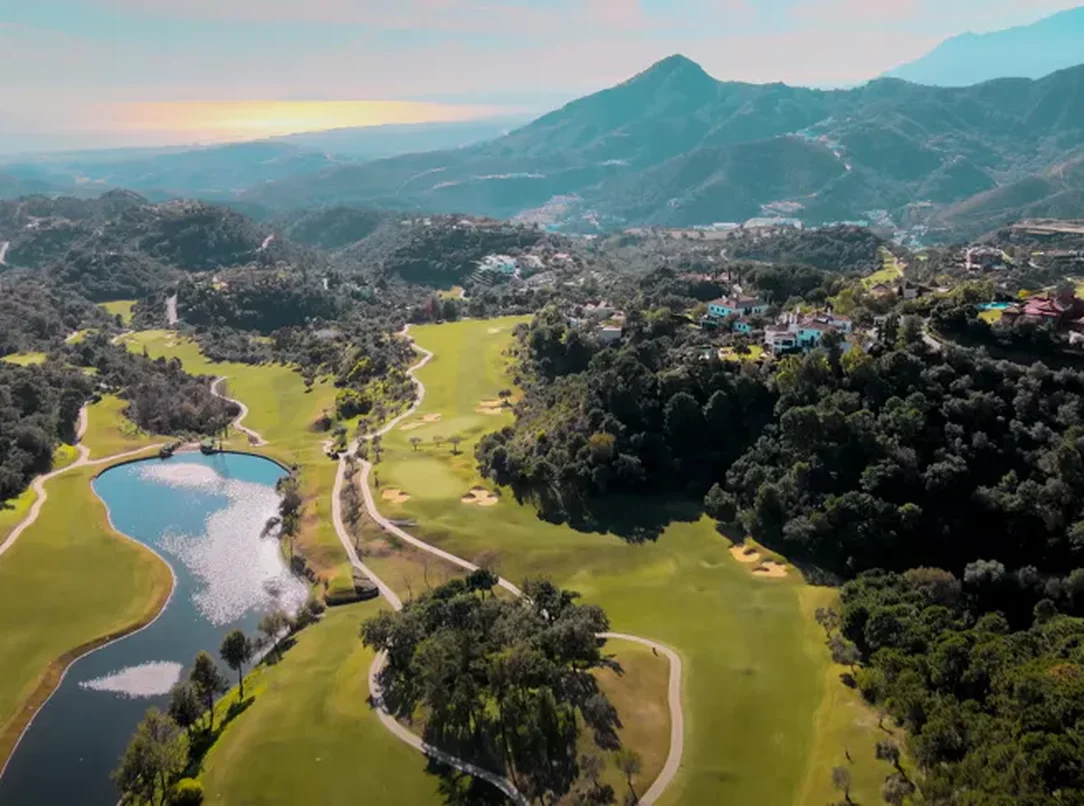 Investor acquired 4 plots in La Zagaleta